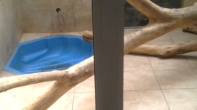 Сад Юннатов город Омск смотреть онлайн