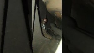 Выскочила вилка сцепления Опель омега