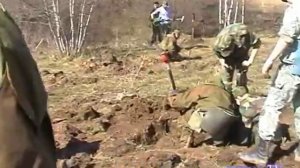 Застава Поиск 2014