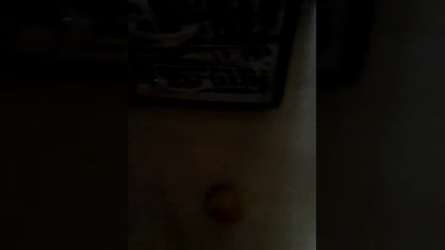 Как я пинаю пенальти в ворота 2 часть. смотреть онлайн