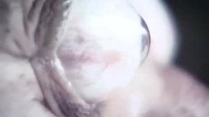 10 НЕВЕРОЯТНЫХ суперспособностей, которыми обладают РЕАЛЬНЫЕ ЛЮДИ