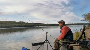 Рыбалка на фидер осенью 2023. Поклевки на фидер ЯЗЯ. Фидер на сильном течении