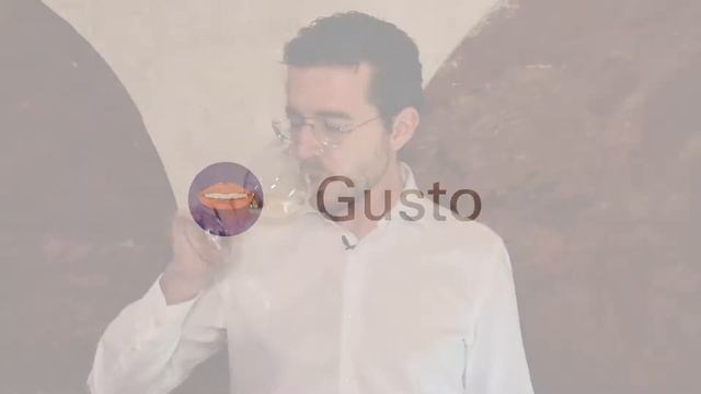 Cómo catar un vino verdejo смотреть онлайн