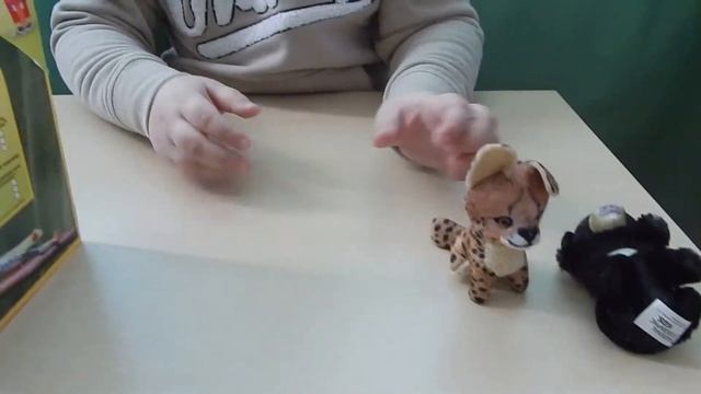 Игрушки Хеппи Мил МакДональдс. МЕДВЕДЬ-ГУБАЧ. McDonalds Happy Meal National Geographic Toys 2018.