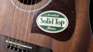 Ibanez AW54 OPN - Demo