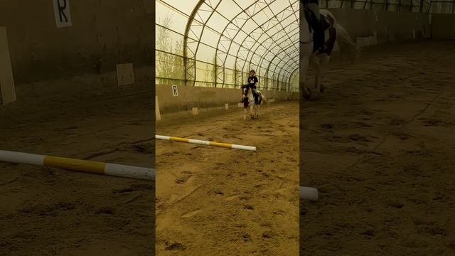 Работаем с Аленой на управление. Всаднику и лошади такие упражнения очень полезны
