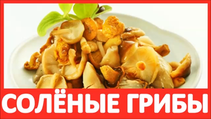 ᐉ 1ОО% СОЛЁНЫЕ ГРИБЫ Купить Грузди в Банках? Цена КГ Рыжики Оптом Рецепт Грибы Опята ☎ +7923538777О
