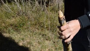 Городские универсалы в лесу. Часть 3. СТРАЖ Кизляр