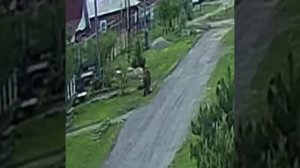 лошадь напала на человека