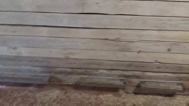 Курятник / henhouse смотреть онлайн