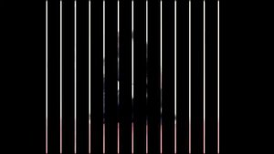 Купить кролика