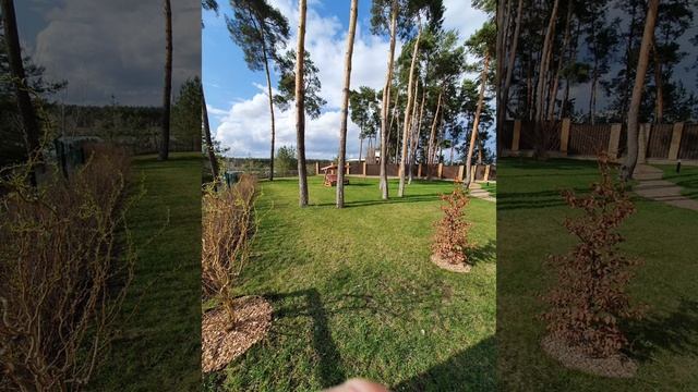 Ещё один объект сдан! смотреть онлайн