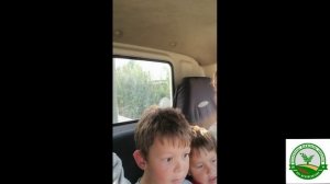 Купили овечек и барашка)) будем разводить