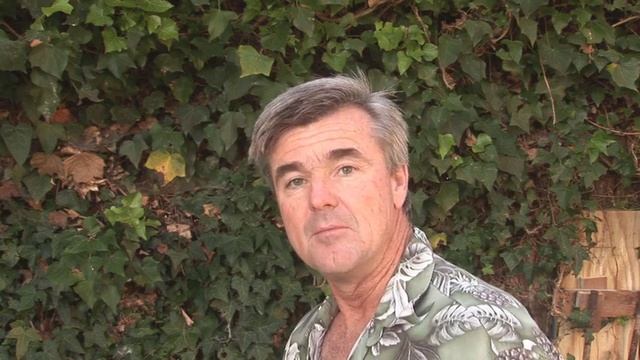 Remblooming Bearded Iris Video смотреть онлайн