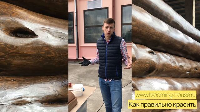 Покраска деревянного дома, лаковая схема покраски | Blooming House