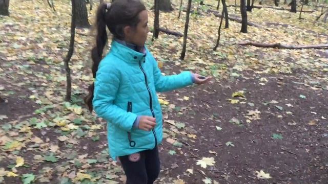 Прогулка в лесу//Птички ели семечки из руки//осенний лес смотреть онлайн