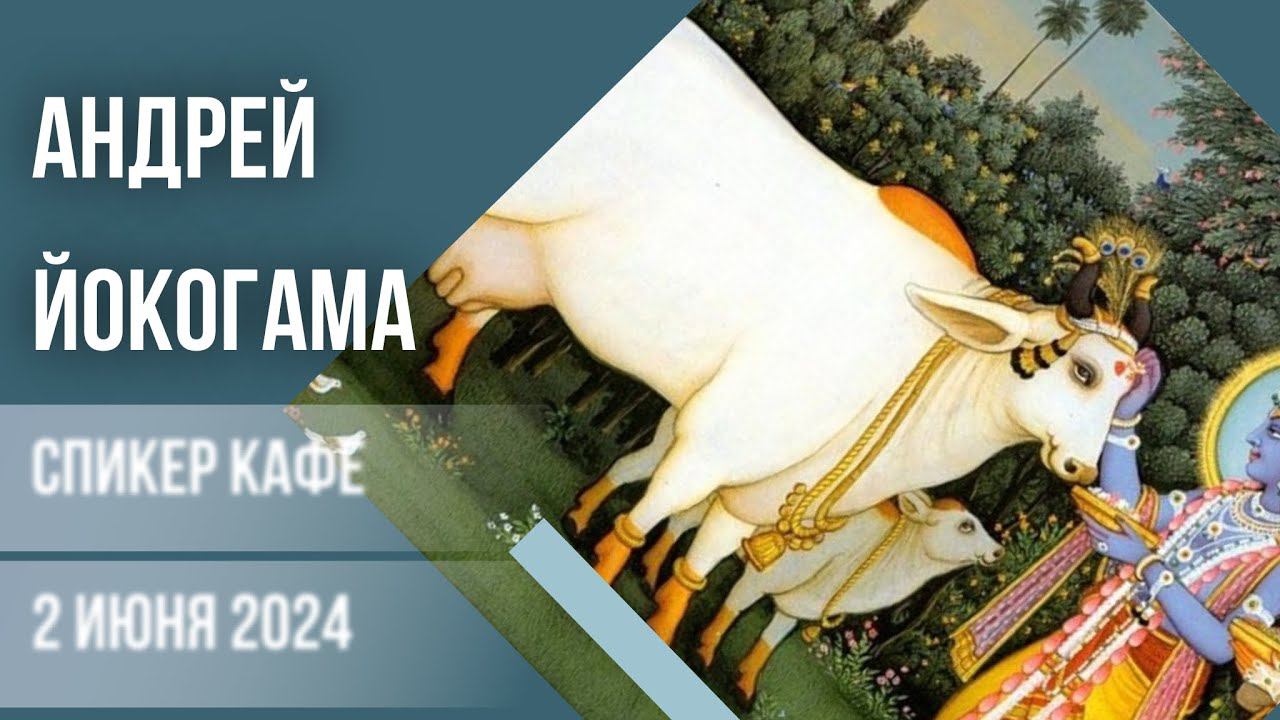 Андрей - Тема: Йокогама #Спикеркафе