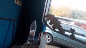 ЛЕТУЧАЯ МЫШЬ ИЗ МЕТАЛЛА-2(грунтовка и покраска)