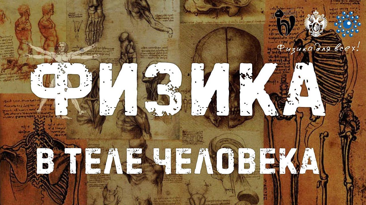 Физика в теле человека