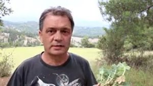 Родиола розовая в Греции. День первый, пробуем...