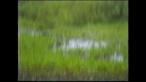 Фатьяниха 2000 г. Часть 1