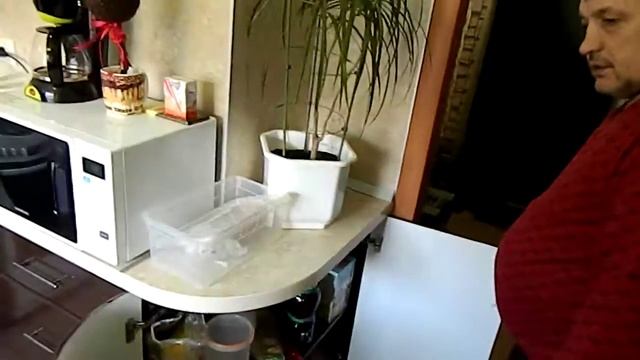 Кухня+прихожая+стол+стул Новое Ступино Мещерская 7 смотреть онлайн