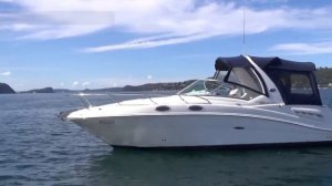 Каютный катер Sea-Ray-275. Короткий, но подробный обзор