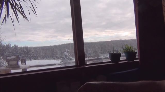 Канадские отшельники. Часть 666. Я ваш мессия... И не благодарите! смотреть онлайн