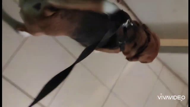 Охотник. Истории о доме / Hunter. Home Stories смотреть онлайн