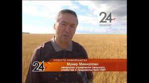 уборка зерновых