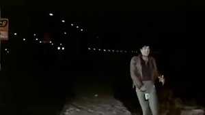 Песня из индийского фильма "Зита и Гита" Дхармендра.