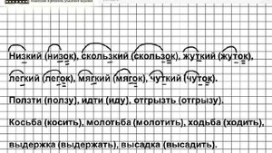 Задание № 41 — Русский язык 5 класс (Ладыженская, Тростенцова)