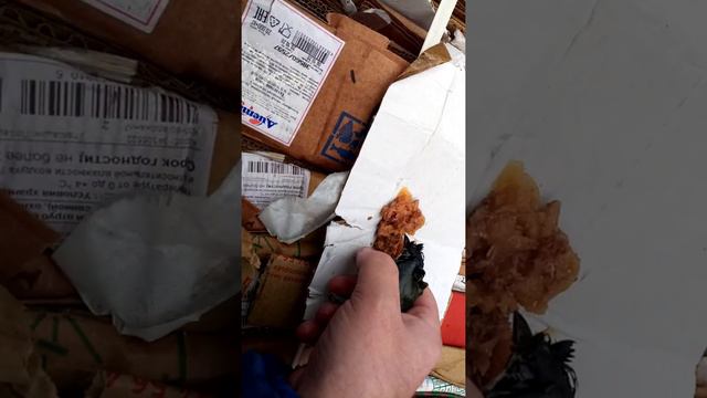 синица в масле, выживет ли? смотреть онлайн