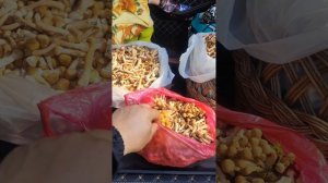 зачем в лесу рация и канцелярский нож