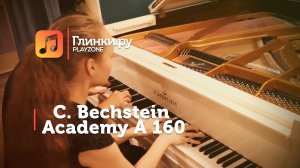 Рояль C. Bechstein Academy A 160 - Лидия Ефимович и Владимир Рыбаков - Глинки.Ру PLAYZONE