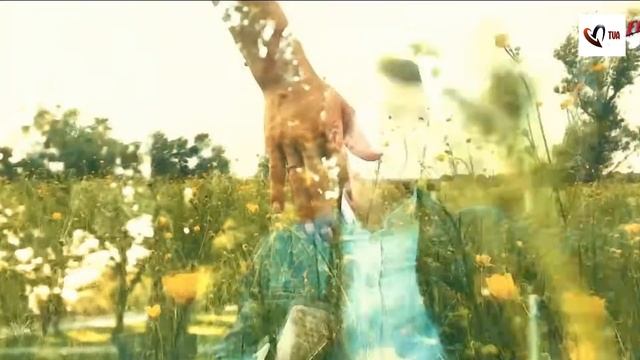 Не моя она жена... И.Кибирев 2023 смотреть онлайн