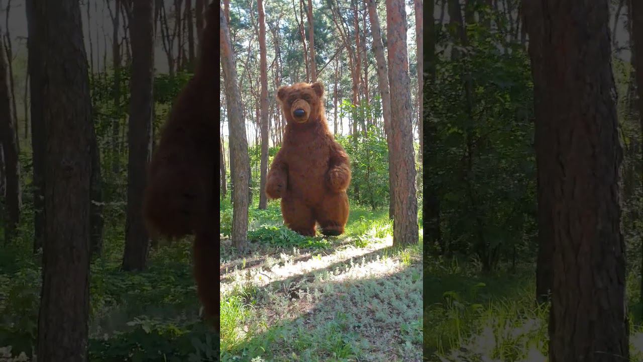 Грустный мишка  идёт по лесу