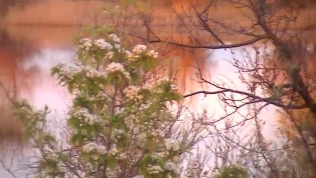 ДОБРЫЙ ВЕЧЕР И ЗАКАТ 24.04.2017 смотреть онлайн