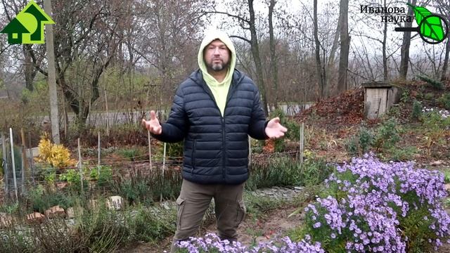 ОПАСНОСТИ ДАРОВ ЛЕСА: как не навредить себе и своему саду и огороду. Мульчирование земляники. смотреть онлайн