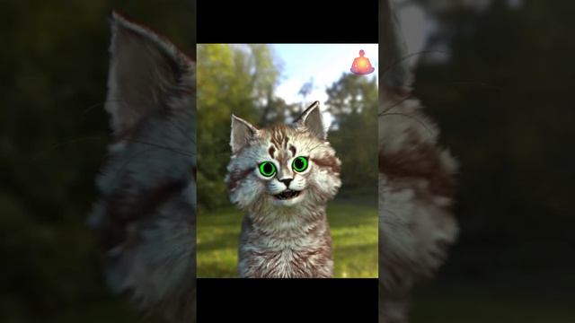 Медитация. Ну и зачем она нужна? Коротко о том, какие плюсы она дает. 2 направления в медитации.
