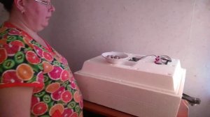 Овоскопирование перепелиных яиц.Инкубационная таблица
