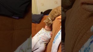 Ребёнок и кот