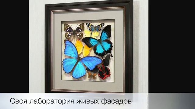Кухня с живыми фасадами, каменной столешницей. Оригинальна неповторимая кухня от mebel1m.ru смотреть онлайн