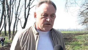 Лесополосы