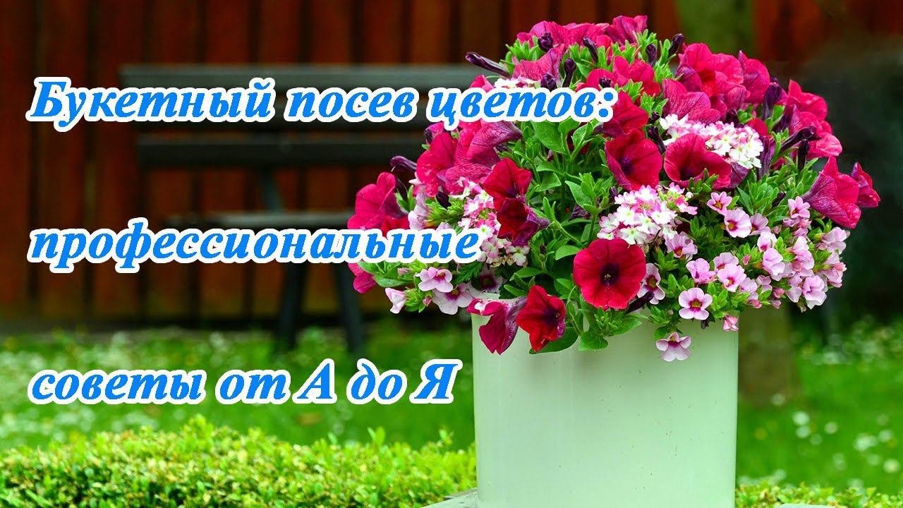 Букетный посев цветов: профессиональные советы от А до Я