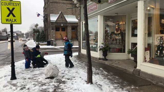 Зимние развлечения в милом городе Карлтон Плейс (Carletone Place)! смотреть онлайн