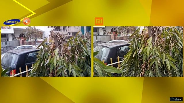 Samsung A51 vs Redmi Note 8 Pro Camera Comparison|Samsung A51 Camera Review|Note 8 Pro Camera Revie смотреть онлайн