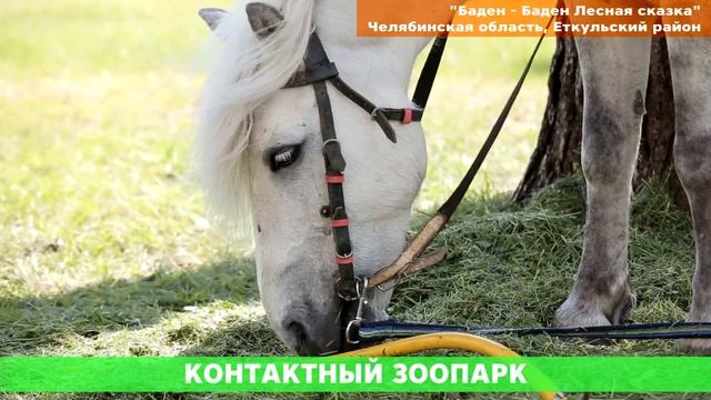 Лучший летний отдых в Челябинской области смотреть онлайн