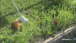 Аккумуляторный триммер STIHL FSA 65