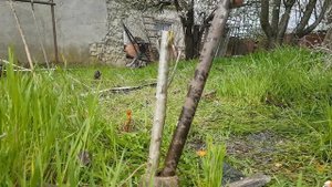 корчеватель для поросли